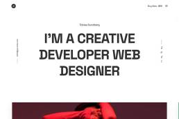Developer Portfolio WordPress