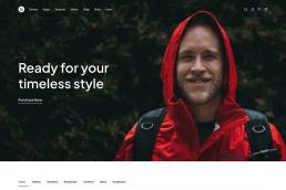 WooCommerce filters Theme