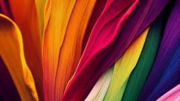 The Psychology of Colors in Branding: How to Influence Consumer Behavior