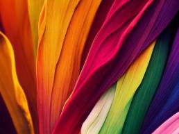 The Psychology of Colors in Branding: How to Influence Consumer Behavior